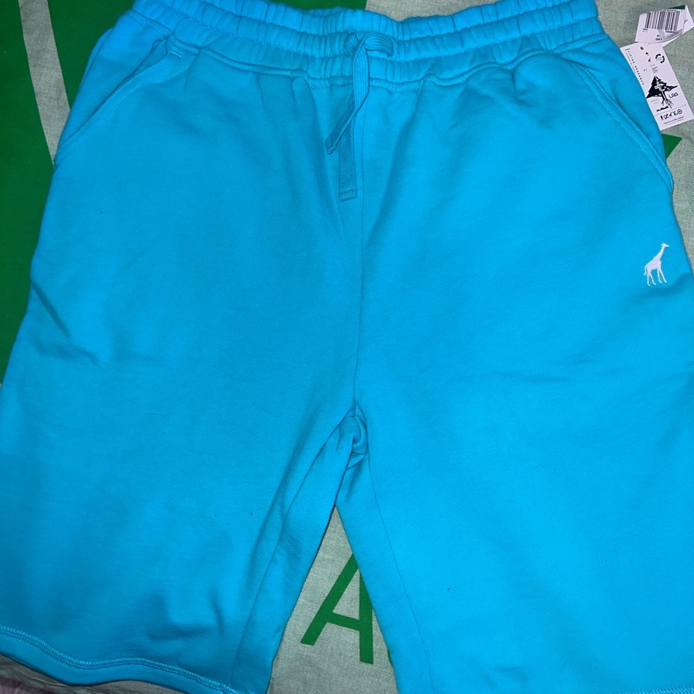 LRG Shorts
